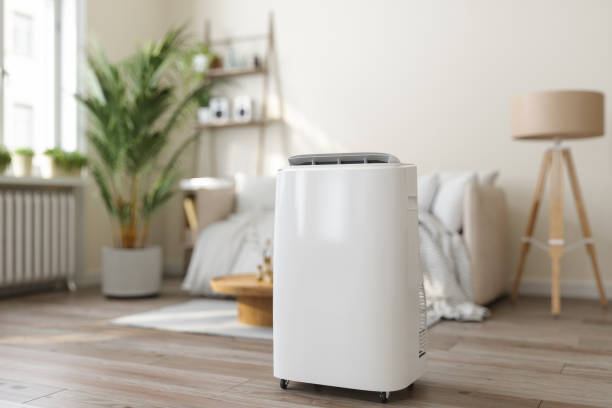 Best HVAC Air Duct Cleaning  in Denmark, WI